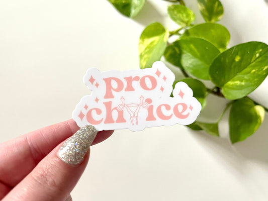 Pro Choice Waterproof Sticker, Reproductive Rights, Womens Rights, Gifts for Her, Feminism Gifts, Feminist Stickers, Waterbottle Sticker