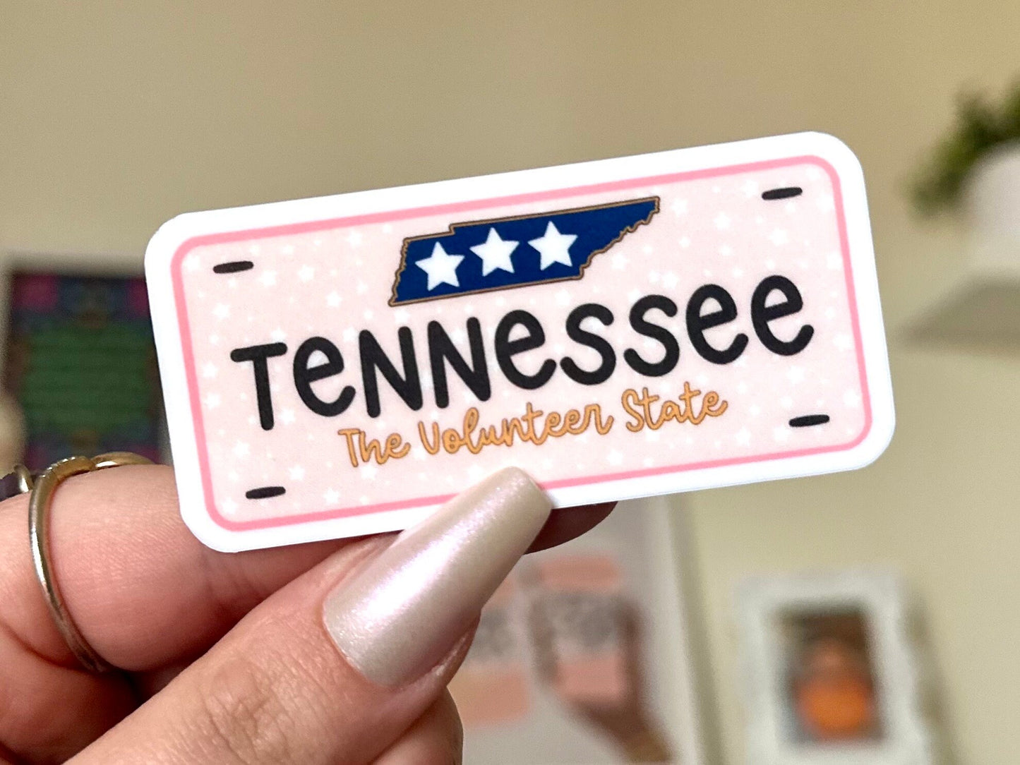 Tennessee Plate Waterproof Sticker, TN Gifts, The Volunteer State, Waterbottle Sticker, State License Plate Stickers